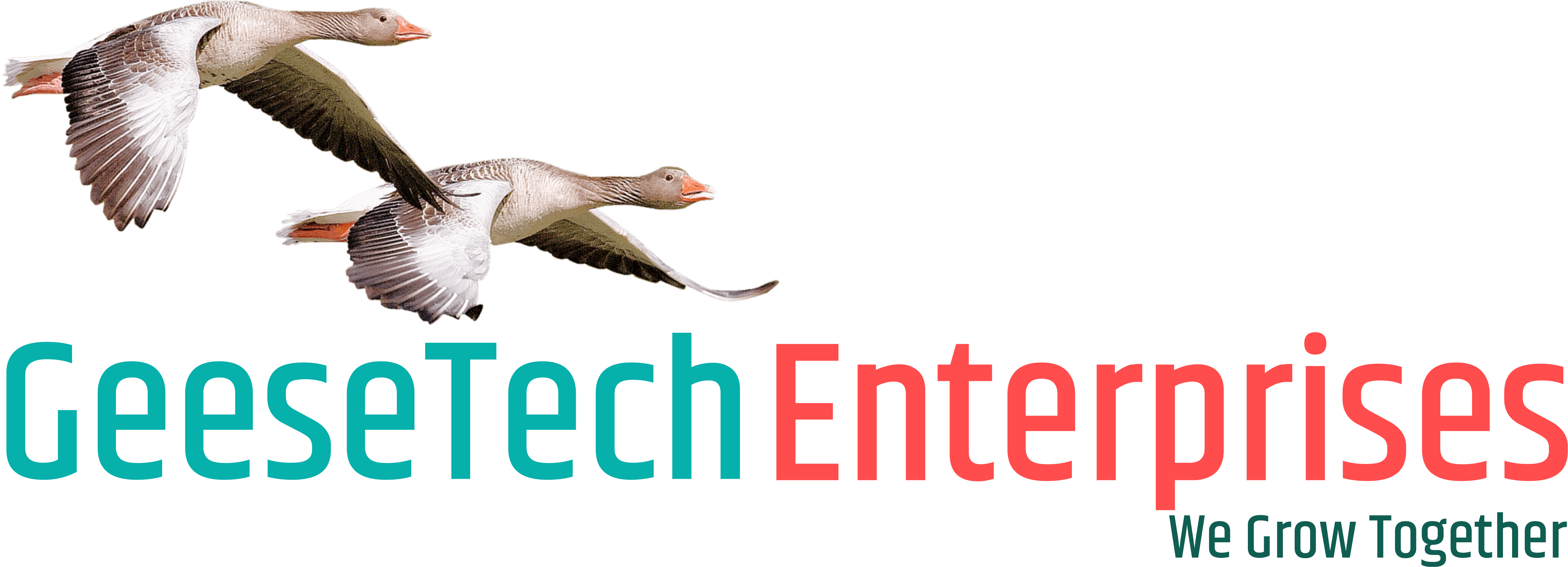 Application Development Company
